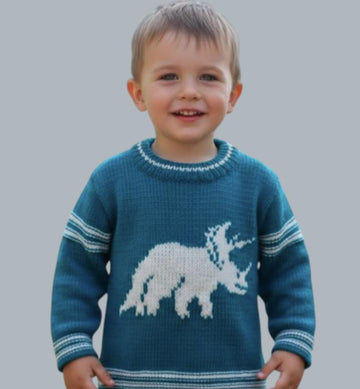 Triceratops on a Sweater
