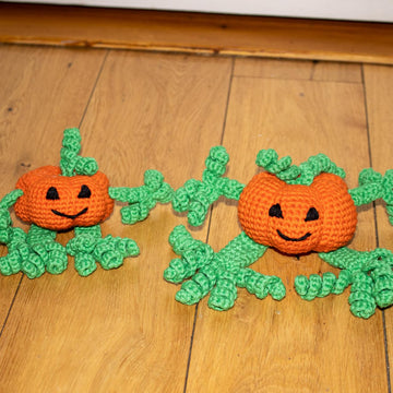Pumpkin