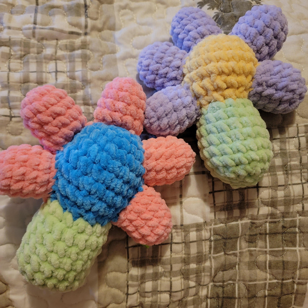 2n1 Flower