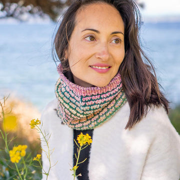 Tulip Fields Cowl