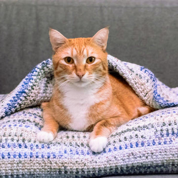 Crochet Pillow Pet Bed w/Blanket