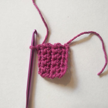 Make your own pet coronavirus