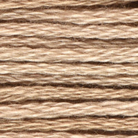 Skin Tones (VA12563)