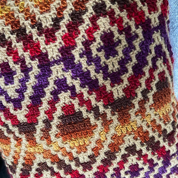 Global Pathways Cushion