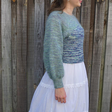 Dragonfly Jumper