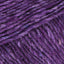 Violet (S28)