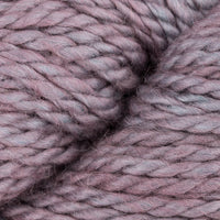 Allium (TU060)