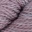 Allium (TU060)