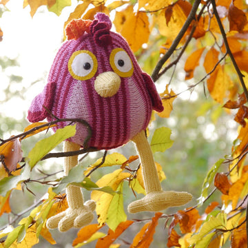 Funny Bird / Komischer Vogel