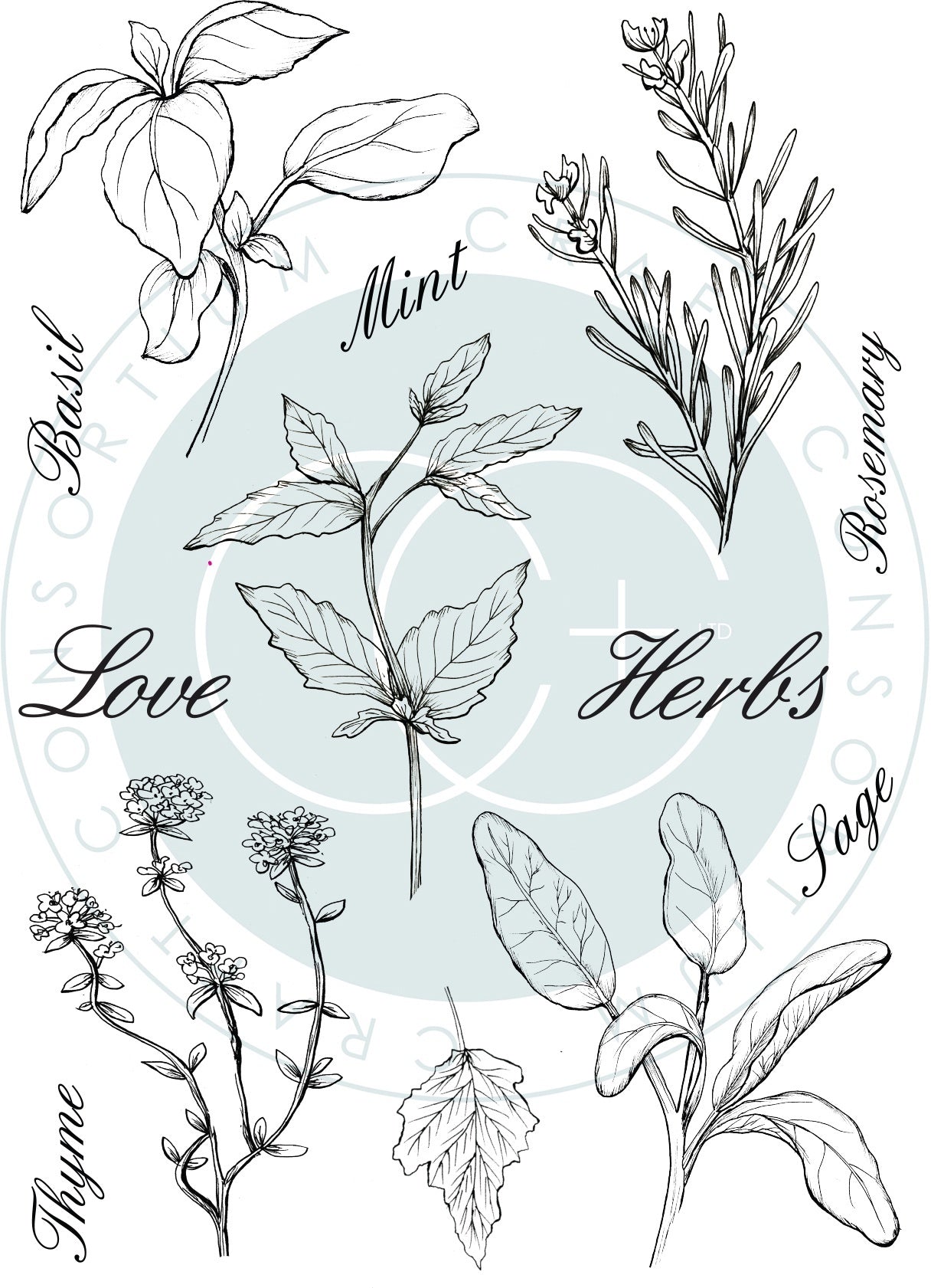 Craft Consortium A5 Clear Stamps - Herbs