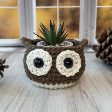 Little Hoot Owl Bowl