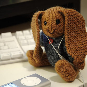 Well Dressed Bunny