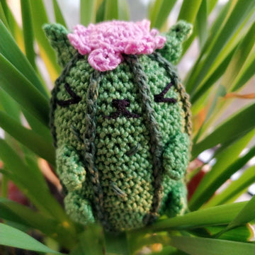 Cactus cat