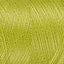 Light Leaf Green (1147)