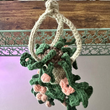 Hanging Teenie Tiny Plant