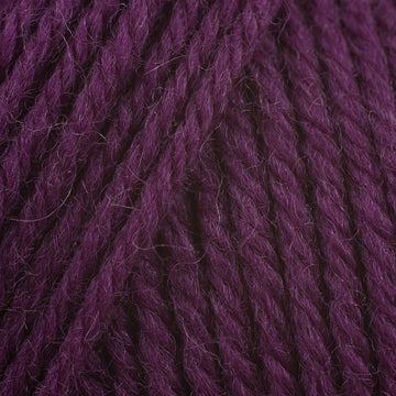 Plum Dandy (742)