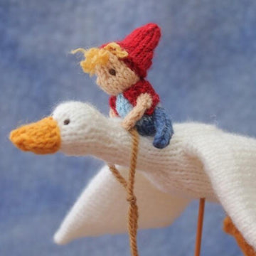 The Boy On the Goose