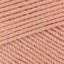 Tea Rose (600)