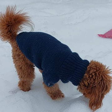 Dog Sweater Charlie No.1