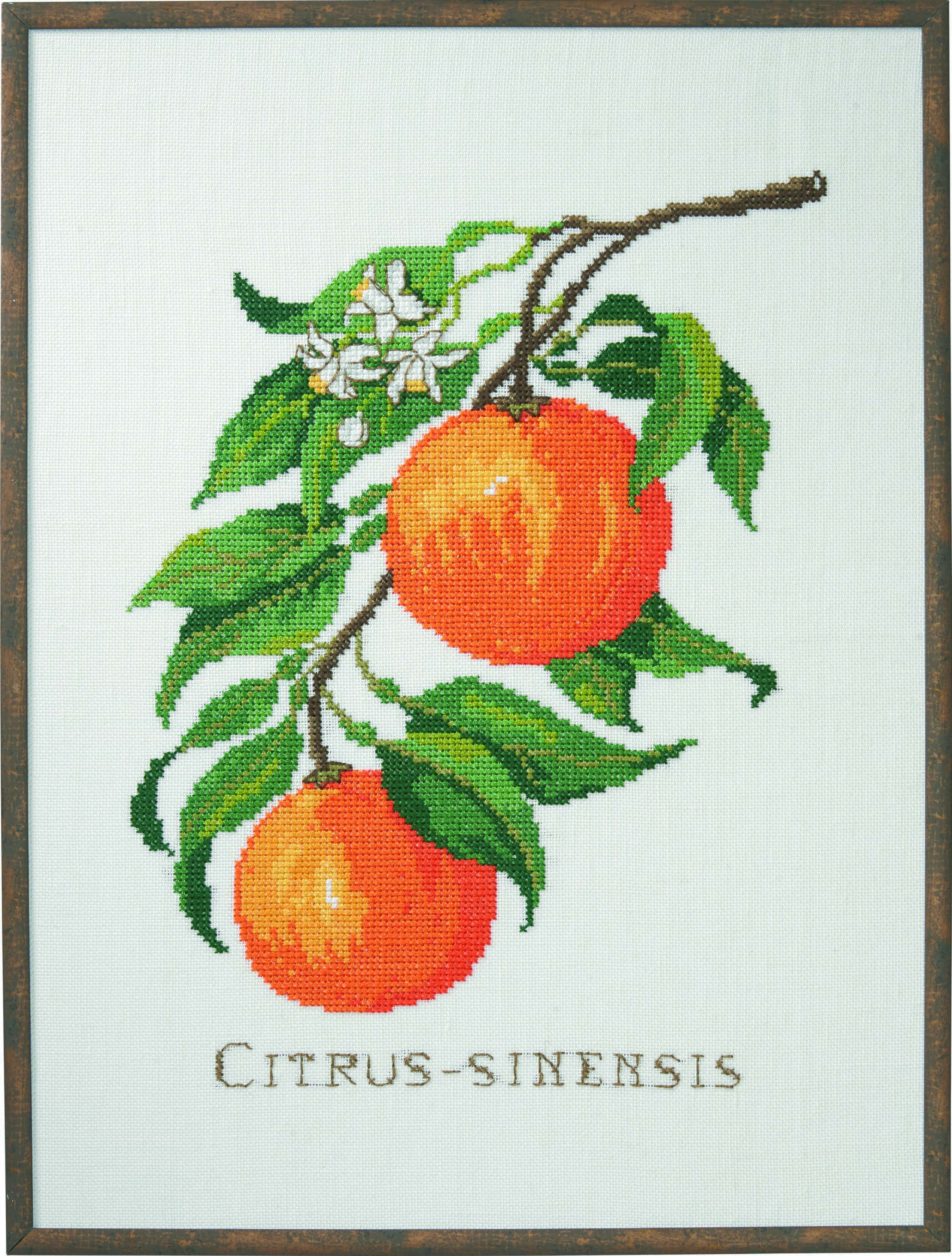 Permin Citrus-Senensis Cross Stitch Kit - 29 x 39 cm