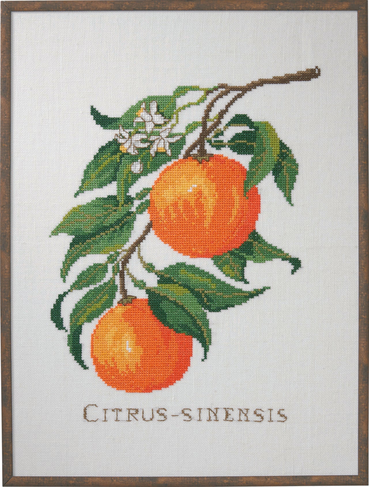 Permin Citrus-Senensis Cross Stitch Kit - 29 x 39 cm