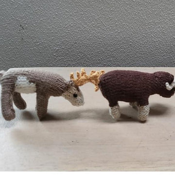 Arctic Animals