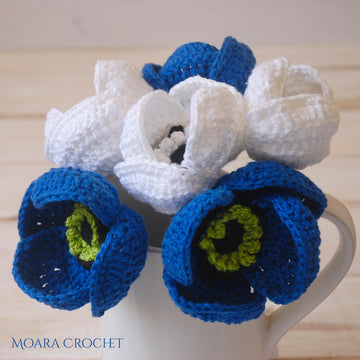 Crochet Anemone