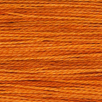 Pumpkin (2228)