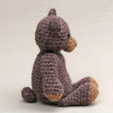 Teddy the bear