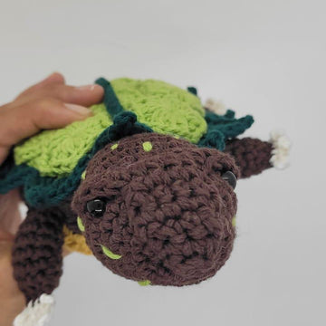 Geo the black-breasted leaf turtle