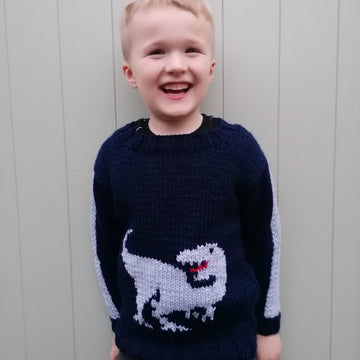 Chunky T Rex Jumper