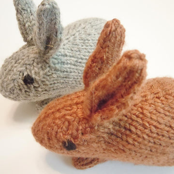 Henry's Bunny