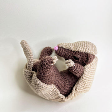 Armadillo