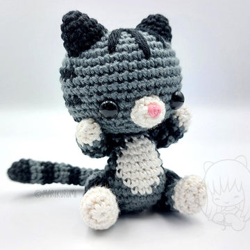Toby the Tabby Cat