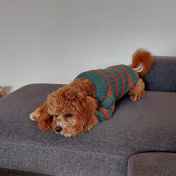 Dog Sweater Charlie No.2