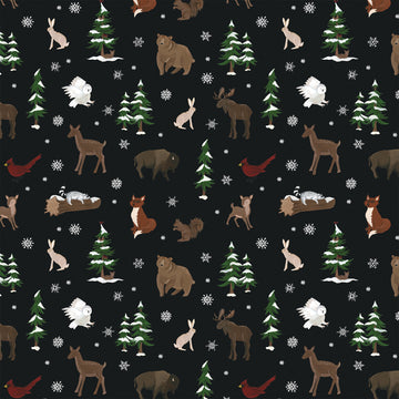 Echo Park Paper Warm & Cozy Double-Sided Cardstock 12"X12" 25/Pkg - Winter Friends