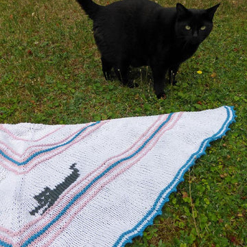 Cat Shawl