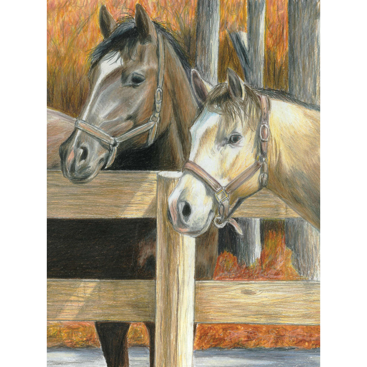 Royal Brush Color Pencil By Number Kit 8.75"X11.75" - Buck's Pal