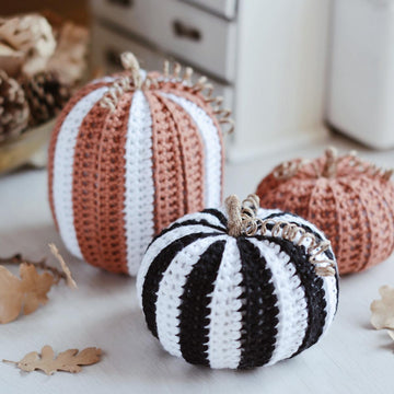 Three Halloween Pumpkins