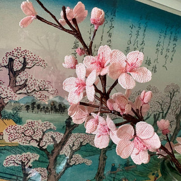 Cherry blossom branch