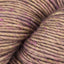 Acorn (TE110)
