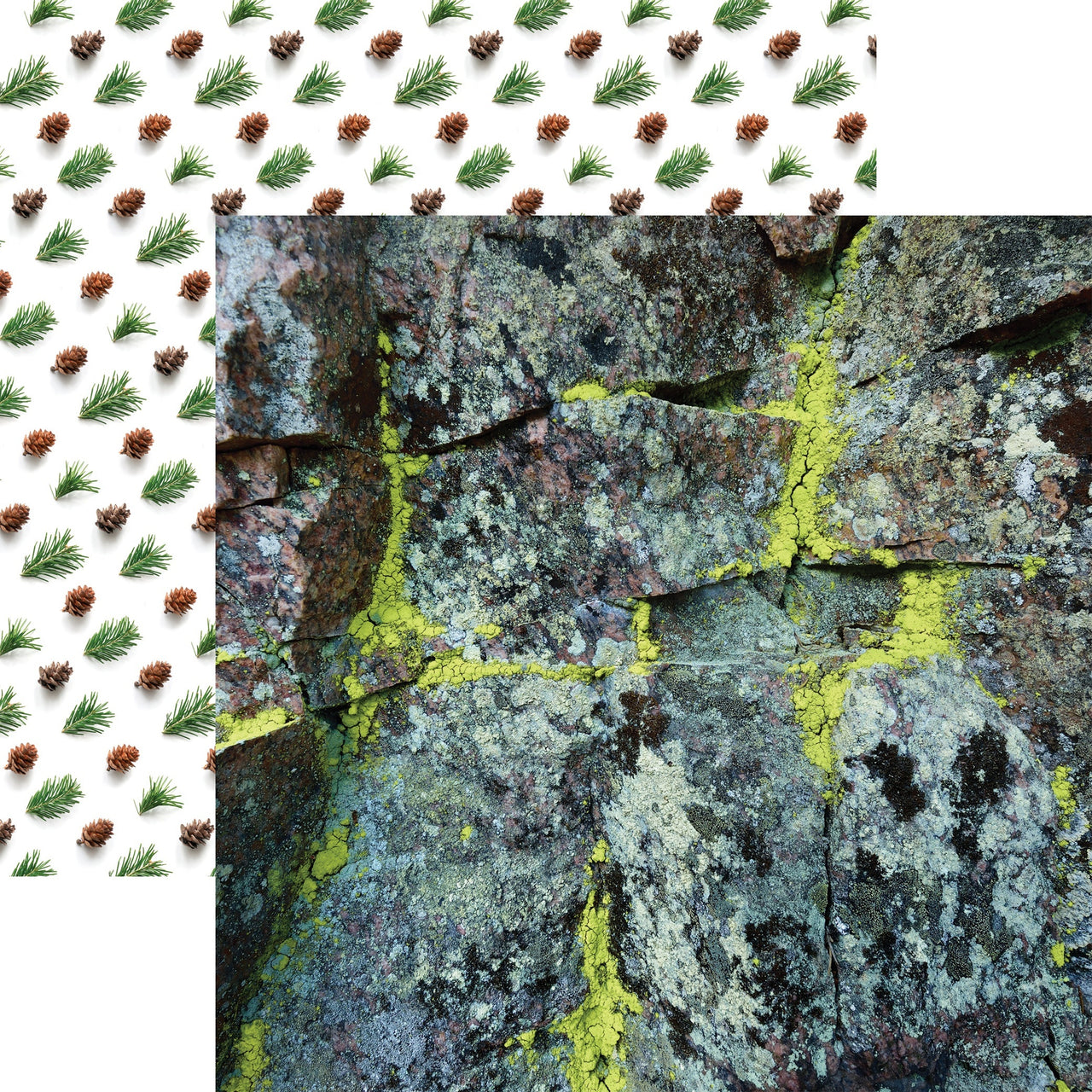 Reminisce Scandinavian Woodland Double-Sided Cardstock 12"X12" 25/Pkg - Mossy Rock