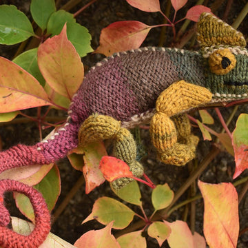 Chameleon