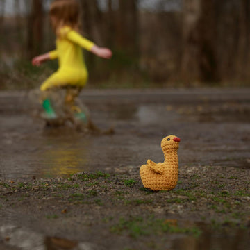 Mallard and Yellow Duck