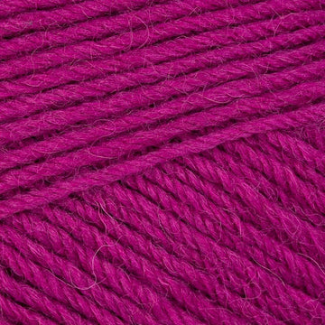 Knapweed (563)
