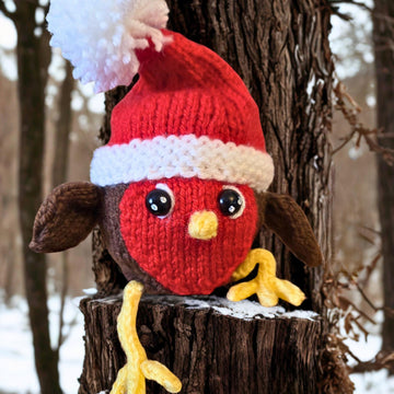 Robin - Chocolate Orange Cosy