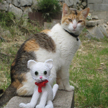 White cat