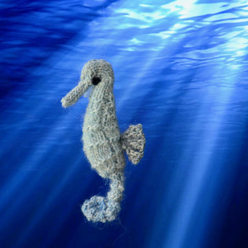 Seahorse
