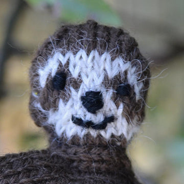 Sloth