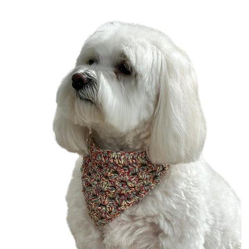 Dog Bandana